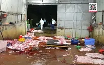 Khởi tố 3 đường dây buôn bán lợn bệnh, lợn chết