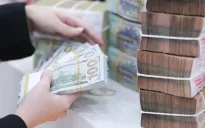 Hoạt động bảo hiểm tỷ giá của doanh nghiệp xuất khẩu tăng mạnh