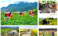 Đồng bộ chương trình mục tiêu quốc gia với mô hình chính quyền hai cấp