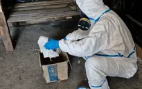 Nga yêu cầu Tổ chức Cấm vũ khí Hóa học điều tra Ukraine sử dụng chất độc trong xung đột