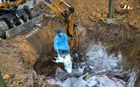Phát hiện ngăn chặn và tiêu hủy 14 tấn lợn bị dịch tả Châu Phi