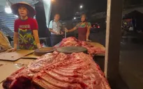 Lộ diện gian thương buôn bán thịt lợn bệnh