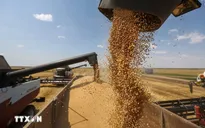 Nga từ chối gia hạn thỏa thuận xuất khẩu lương thực với Liên hợp quốc