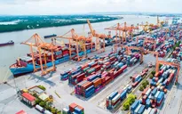 Quy định mới về tổ chức, hoạt động của Cảng vụ hàng hải, Cảng vụ đường thủy nội địa