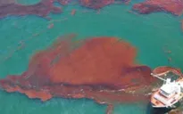 Thay đổi thẩm quyền, thời hạn phê duyệt kế hoạch ứng phó sự cố tràn dầu