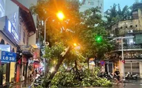 Hà Nội chỉ đạo ứng phó với bão số 3, có phương án di dời dân ra khỏi khu vực nguy hiểm