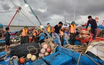 Ứng phó với bão số 3, Ninh Bình khẩn trương thành lập Ban Chỉ huy phòng thủ dân sự cấp xã