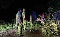 Người đàn ông tử vong do bị cành cây gãy rơi trúng người