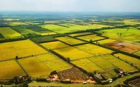 Đề xuất quy định hướng dẫn việc kéo dài thời hạn miễn thuế sử dụng đất nông nghiệp