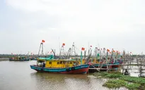 Ninh Bình: Đảm bảo an toàn tuyệt đối cho tàu thuyền trước giờ bão đổ bộ