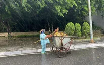 Quảng Ninh có nơi mưa trên 80 mm, nguy cơ lũ quét, sạt lở đất