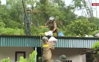 Ảnh hưởng bão số 3, Đặc khu Cát Hải có gió mạnh cấp 6, giật cấp 7