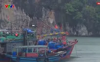 Đặc khu Vân Đồn vào trạng thái khẩn cấp ứng phó bão số 3, không bị động