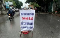 Ninh Bình tạm dừng hoạt động cầu phao Ninh Cường