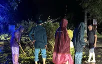 Nghệ An: 1 người chết, 4 người bị thương do ảnh hưởng bão số 3