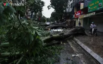 Hà Nội: Đảm bảo trật tự, an toàn giao thông trong suốt thời gian chịu ảnh hưởng của bão