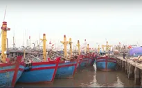 425 tàu, gần 1.600 lao động trên vịnh Bắc Bộ chưa vào bờ