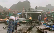 Hải quân tham gia giúp dân phòng chống bão Wipha