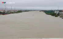 Hàng chục ha lúa mới cấy ở Ninh Bình ngập sâu trong biển nước