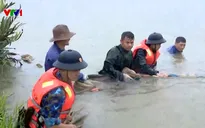 Quảng Ninh huy động 2.600 chiến sĩ sẵn sàng ứng phó bão số 3
