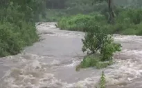 Nghệ An: Bão số 3 gây mưa lớn, sạt lở, hàng trăm héc-ta hoa màu bị nhấn chìm