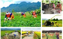 Xây dựng cơ sở dữ liệu các chương trình mục tiêu quốc gia