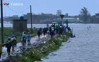 Ninh Bình: Xử lý 3 điểm sạt lở do bão Wipha gây ra