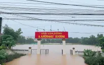 Phú Thọ: Sơ tán 30 hộ dân do bị ngập nặng do ảnh hưởng cơn bão số 3