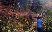 Sơn La: 4 người bị lũ cuốn trôi, 350 ngôi nhà hư hại, thiệt hại hàng trăm hecta hoa màu