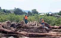 Thủ tướng yêu cầu tập trung khắc phục hậu quả lũ quét, sạt lở đất tại Sơn La