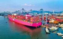 TP Hồ Chí Minh kết nối cảng biển, tăng lợi thế cạnh tranh