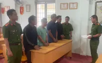 Lâm Đồng: Triệt phá vụ phá rừng thông cổ thụ nghiêm trọng