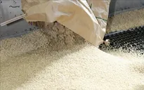 Nhật Bản thay đổi chính sách lúa gạo