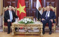 Chủ tịch nước Lương Cường hội kiến Chủ tịch Thượng viện Ai Cập