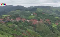 Điện Biên: Chuyển đổi cây trồng để phòng chống sạt lở