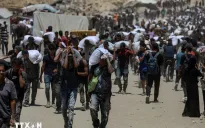 Hội đồng Bảo an Liên hợp quốc nhóm họp về xung đột Israel - Palestine