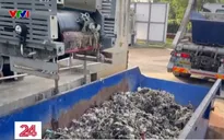 Khăn ướt trở thành thảm họa môi trường tại Pháp