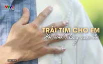 Ký ức VTV: Trái tim cho em - Hồi sinh những cuộc đời
