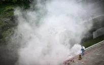 Bùng phát dịch do virus chikungunya gây ra tại Trung Quốc