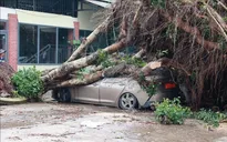 Mưa to kèm dông lốc gây nhiều thiệt hại tại Lâm Đồng