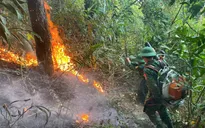 Cháy rừng phòng hộ tại Đèo Ngang