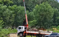  Xe cẩu bị phóng điện, phụ xe tử vong, tài xế bị thương