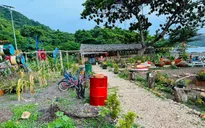 Chuyển đổi xanh tại Côn Đảo: Bắt đầu từ giao thông xanh