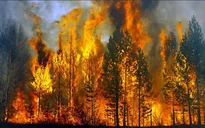 Nhiều điểm du lịch nằm giáp ranh khu vực có nguy cơ cháy rừng cao