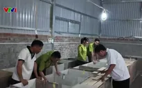 Làm giàu từ nuôi động vật hoang dã: Lợi nhuận cao, rủi ro dịch bệnh rình rập