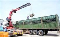 Xử phạt lái xe và doanh nghiệp vượt 400% tải trọng