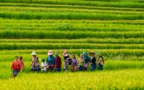 Trang Pháp chính thức ra mắt ca khúc gây xúc động tại V Fest "Mãi là người Việt Nam"