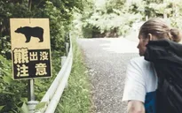 Người đi bộ tử vong vì bị gấu tấn công trong rừng ở Nhật Bản