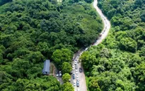 Hàng trăm người tích cực tìm kiếm nam du khách đi lạc trong Vườn quốc gia Cúc Phương