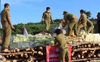 Lào và Ba Lan thu giữ hàng trăm triệu USD ma túy